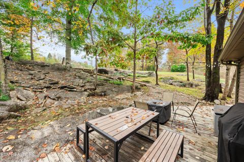 Tiny photo for 777 Lindsey Mill Circle, Rocky Top, TN 37769 (MLS # 1320097)