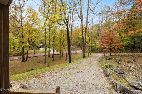 Tiny photo for 777 Lindsey Mill Circle, Rocky Top, TN 37769 (MLS # 1320097)