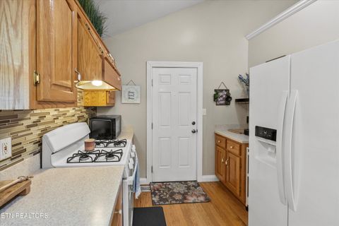 Tiny photo for 777 Lindsey Mill Circle, Rocky Top, TN 37769 (MLS # 1320097)