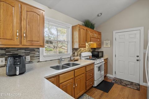 Tiny photo for 777 Lindsey Mill Circle, Rocky Top, TN 37769 (MLS # 1320097)