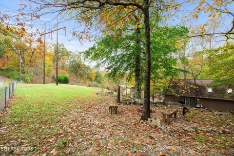 Tiny photo for 777 Lindsey Mill Circle, Rocky Top, TN 37769 (MLS # 1320097)
