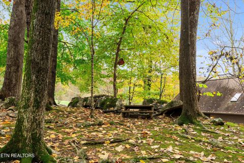 Tiny photo for 777 Lindsey Mill Circle, Rocky Top, TN 37769 (MLS # 1320097)