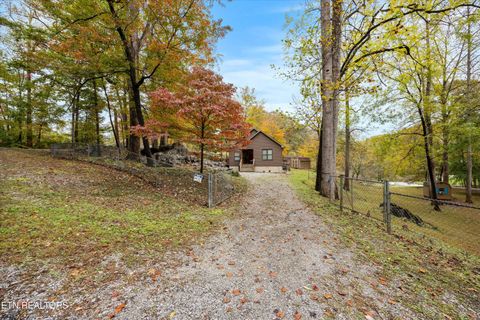 Tiny photo for 777 Lindsey Mill Circle, Rocky Top, TN 37769 (MLS # 1320097)