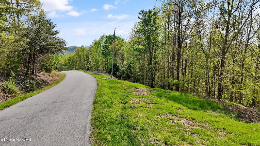 Photo of 149 Whistle Valley Rd, New Tazewell, TN 37825 (MLS # 1298168)