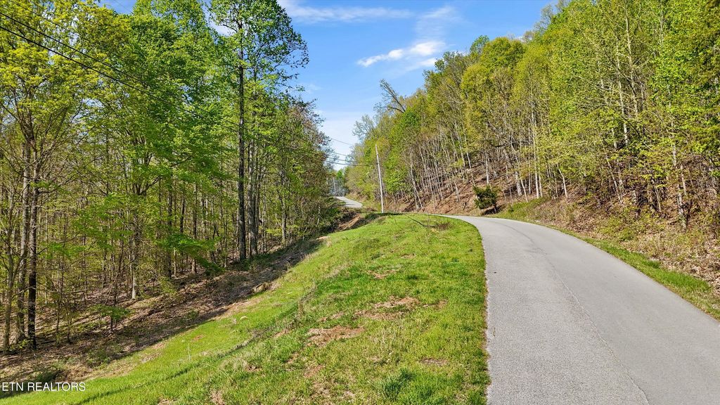 Photo of 149 Whistle Valley Rd, New Tazewell, TN 37825 (MLS # 1298168)