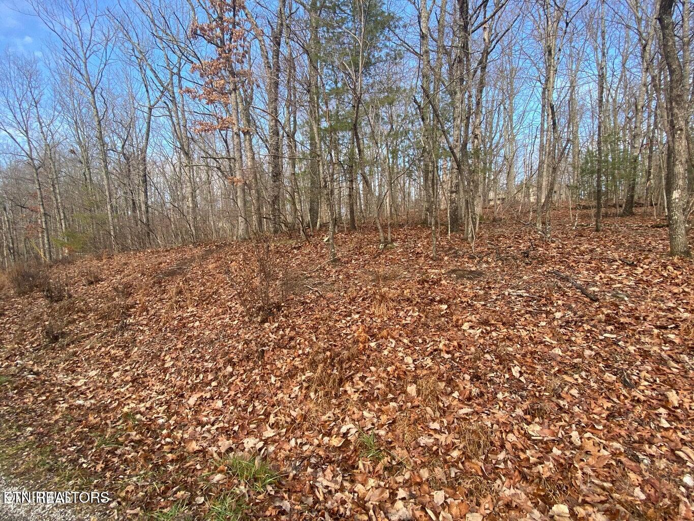116 Overlook Cove