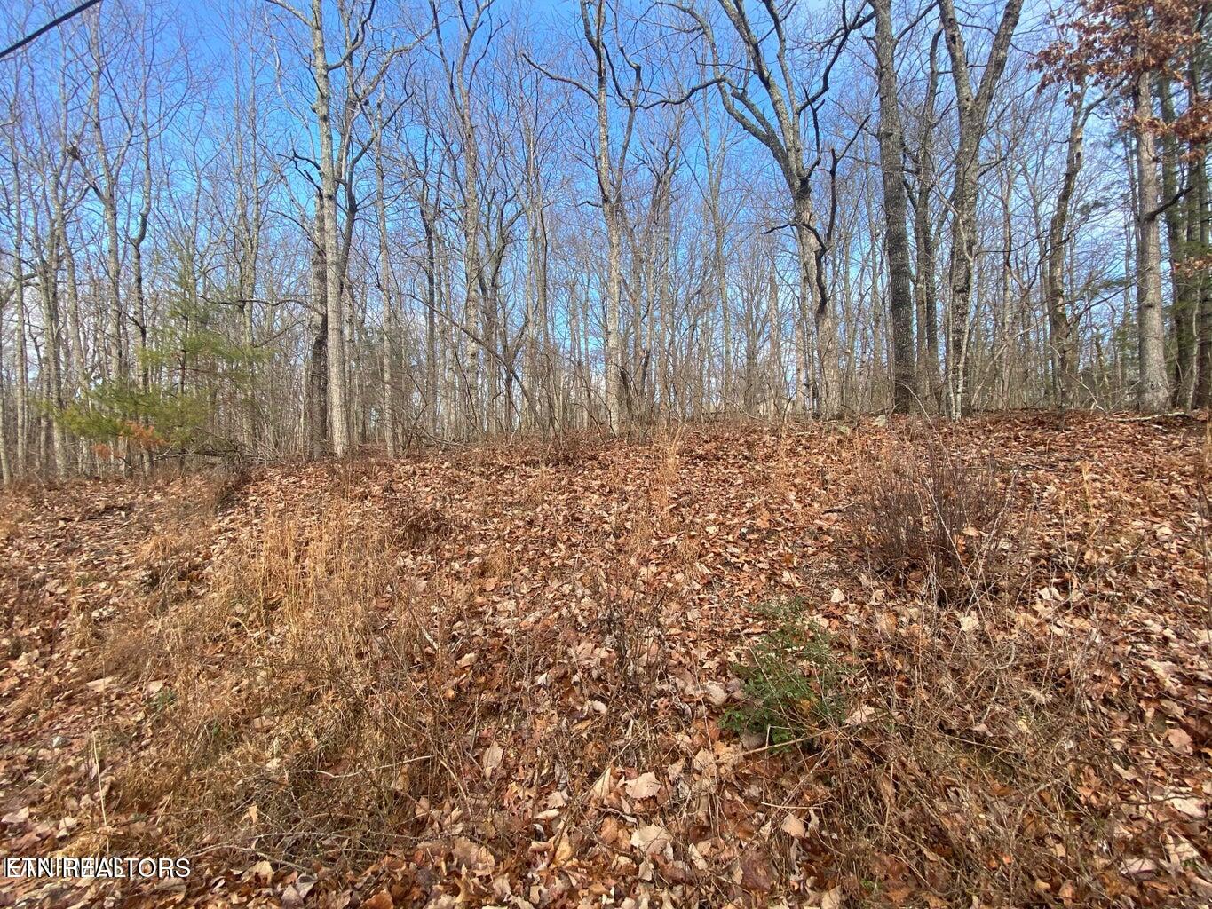 116 Overlook Cove