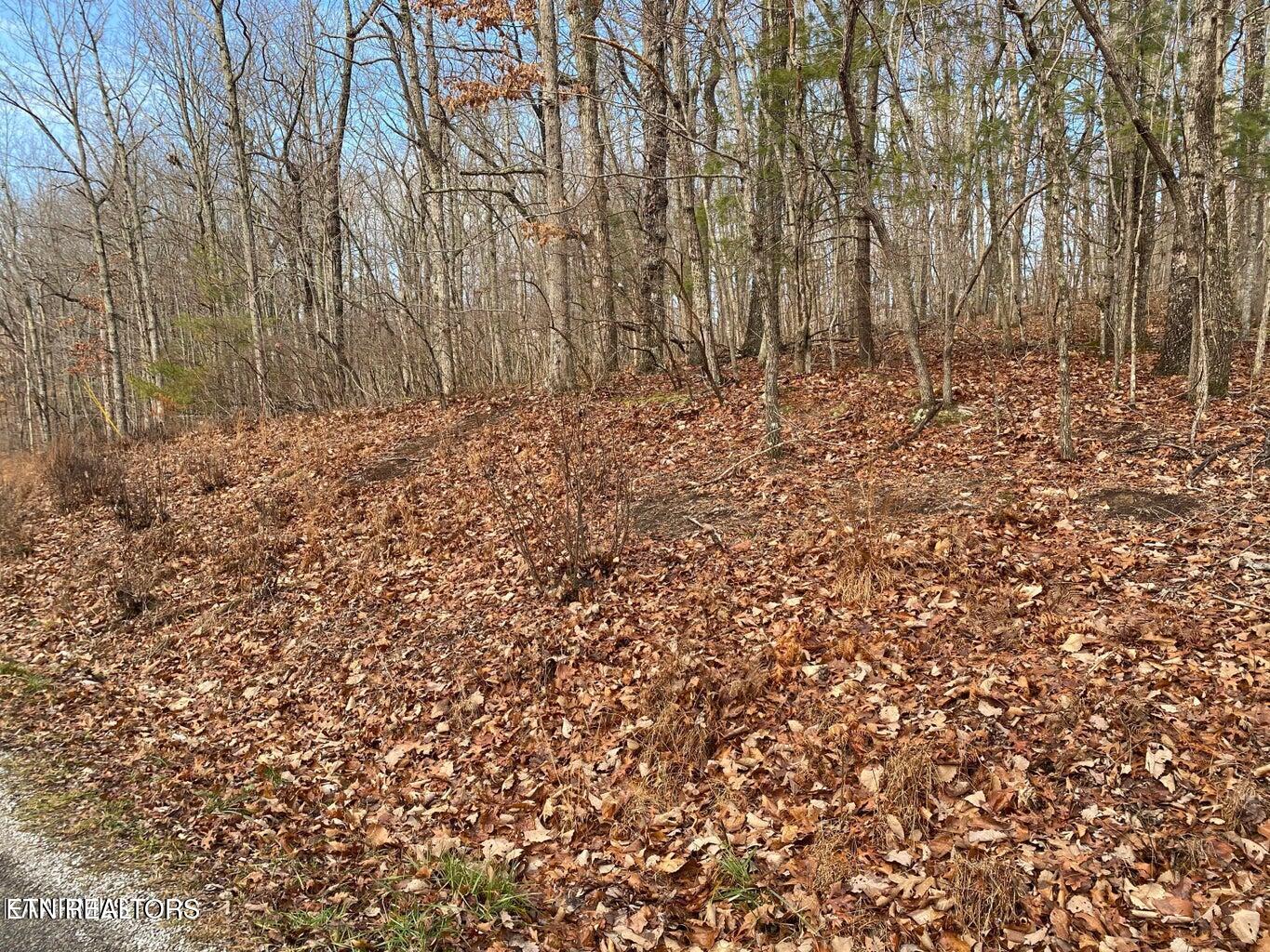 116 Overlook Cove