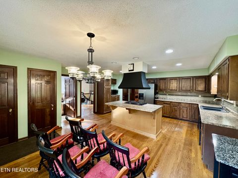 Tiny photo for 5913 Wassman Rd, Knoxville, TN 37912 (MLS # 1332247)