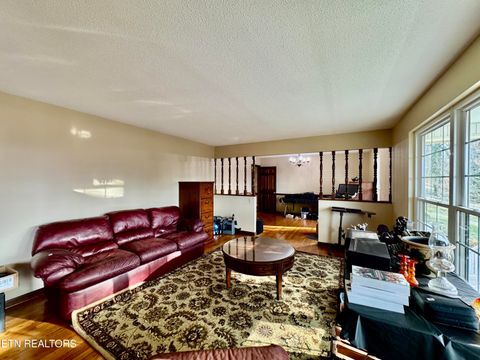 Tiny photo for 5913 Wassman Rd, Knoxville, TN 37912 (MLS # 1332247)