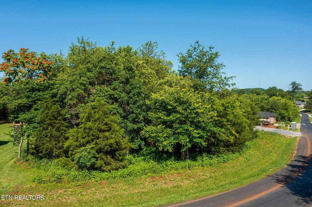 Photo of 146 Sikwa Tr, Vonore, TN 37885 (MLS # 1265940)