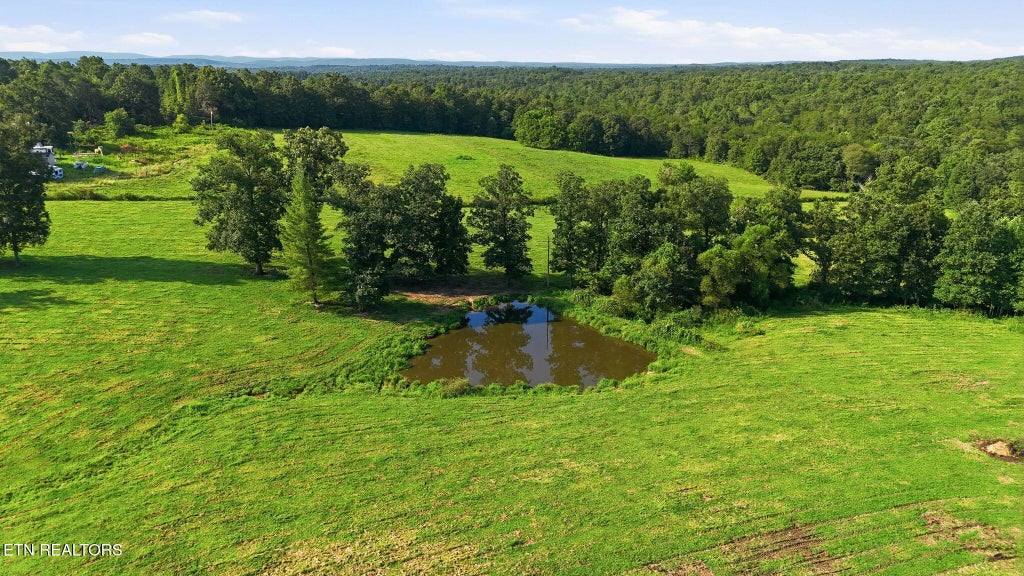 Photo of 201 Claude Howard Rd, Deer Lodge, TN 37726 (MLS # 1351724)