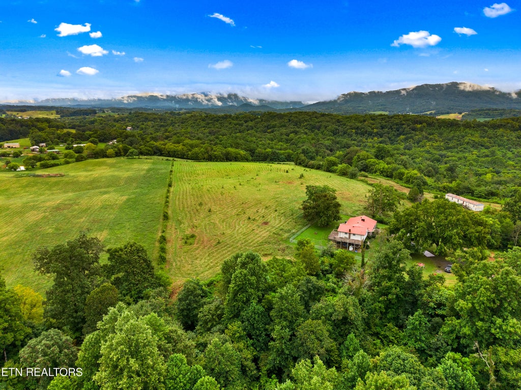 Photo of 0 Cottage Way, Parrottsville, TN 37843 (MLS # 1312413)