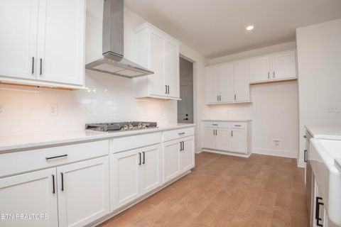 Tiny photo for 405 Ivey Farms Lane (Lot 58), Farragut, TN 37934 (MLS # 1319417)