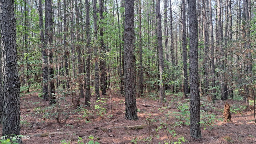Photo of 14 Airport Rd (PCA), Rockwood, TN 37854 (MLS # 1322108)