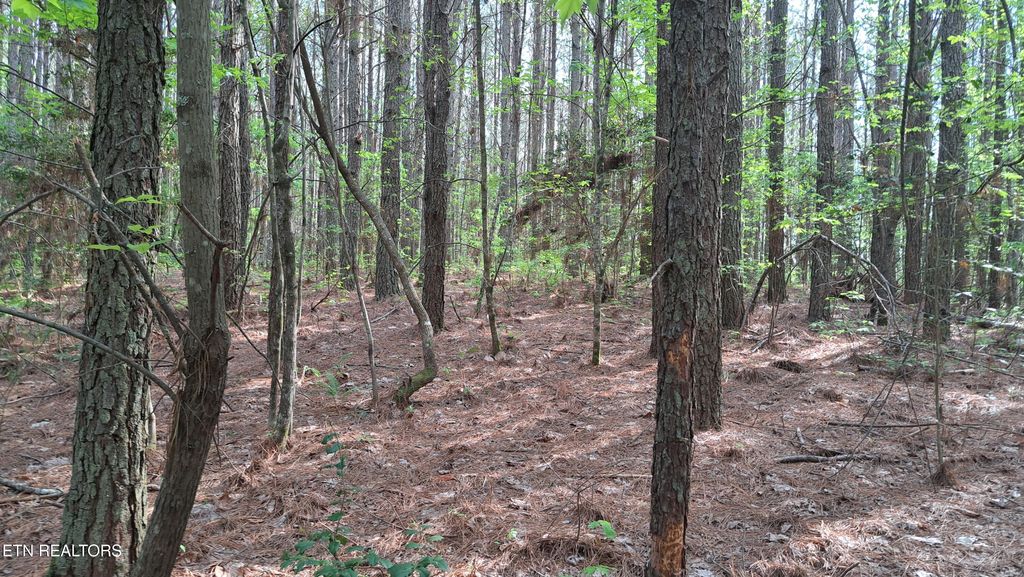 Photo of 14 Airport Rd (PCA), Rockwood, TN 37854 (MLS # 1322108)