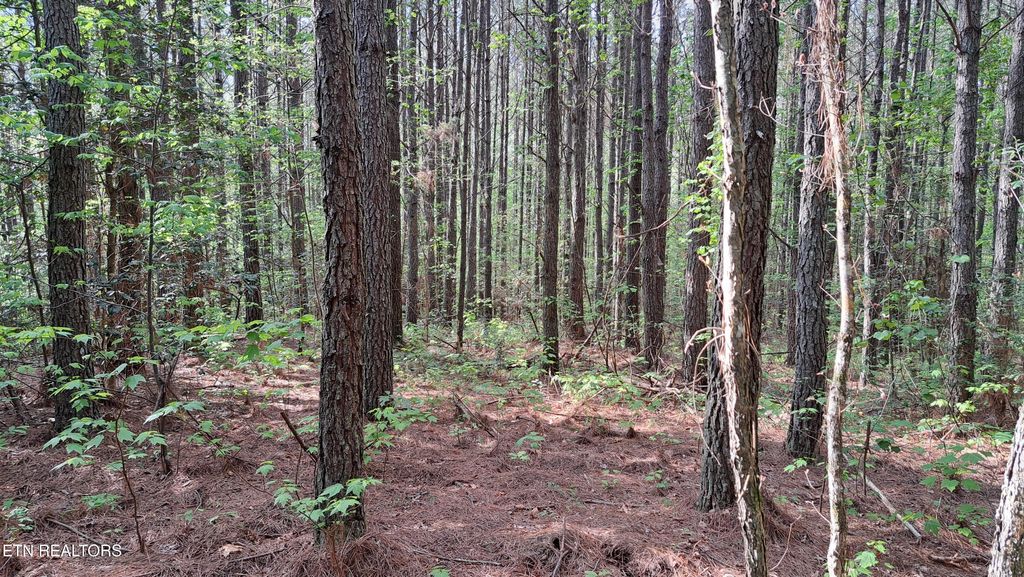 Photo of 14 Airport Rd (PCA), Rockwood, TN 37854 (MLS # 1322108)