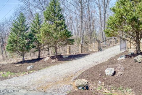 74 Black Cat Tr Rockwood TN 37854