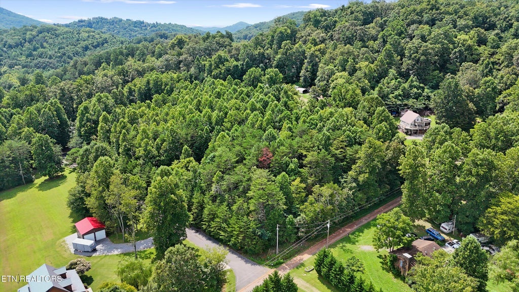 Photo of 3 Peachie Way, Cosby, TN 37722 (MLS # 1312452)