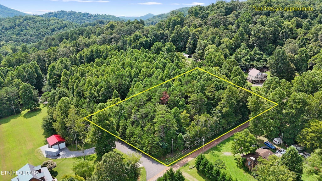 Photo of 3 Peachie Way, Cosby, TN 37722 (MLS # 1312452)