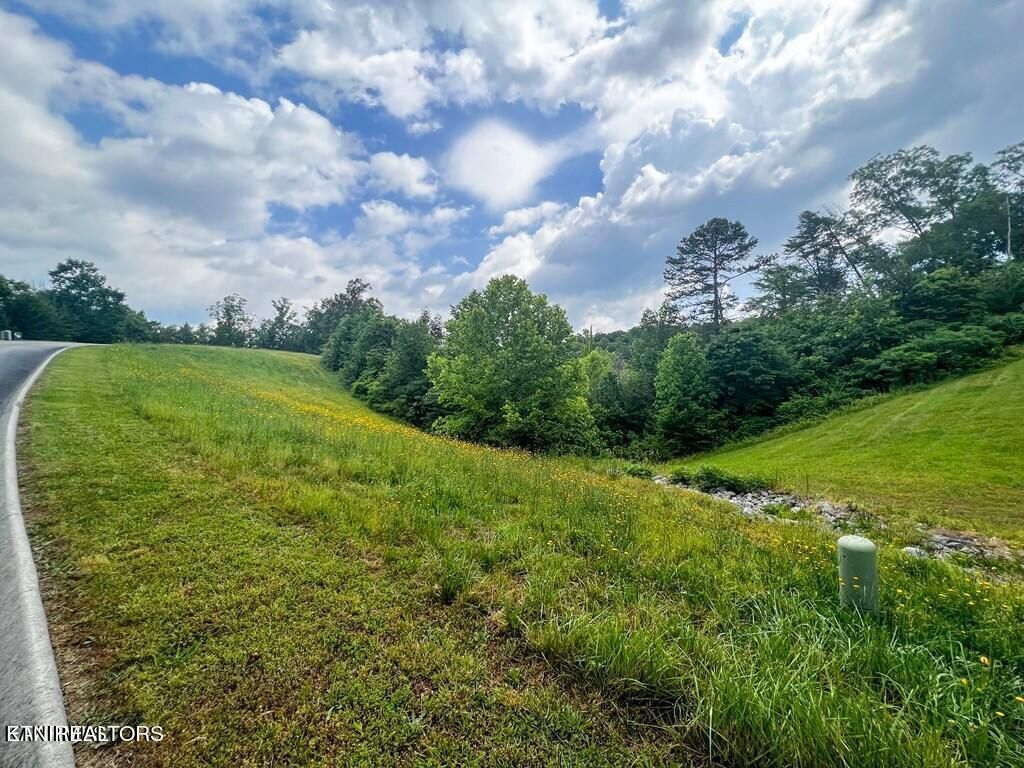 Photo of 6219 Outlook Tr, Russellville, TN 37860 (MLS # 1245945)