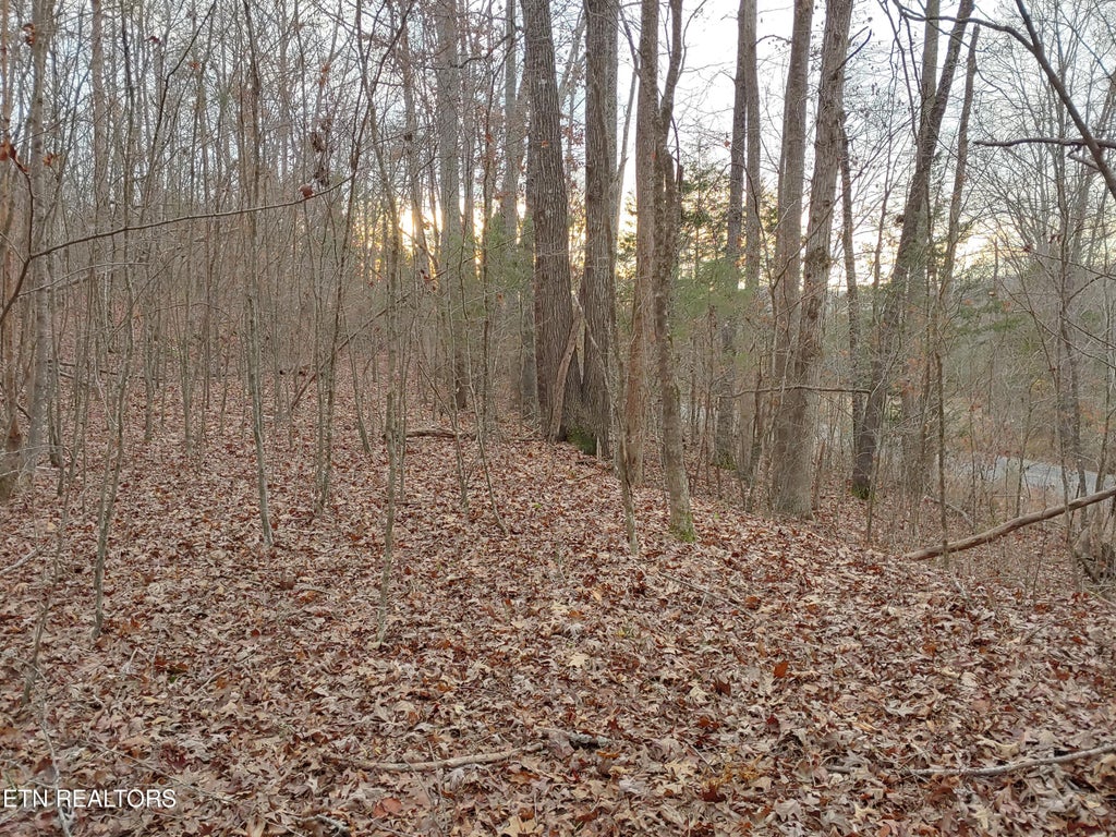 Photo of 10702 S Nopone Valley Rd, Decatur, TN 37322 (MLS # 1248017)