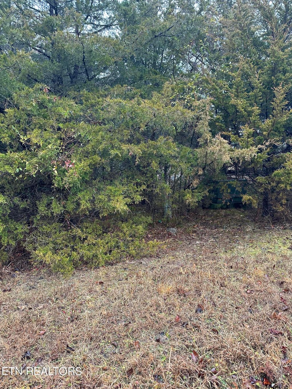 Photo of 156 Wedge Way, Tazewell, TN 37879 (MLS # 1249544)