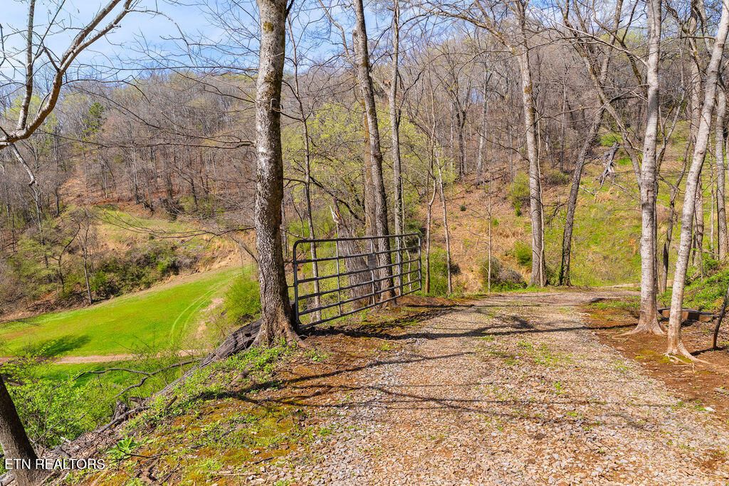Photo of 4125 Bear Hollow Loop, Louisville, TN 37777 (MLS # 1332750)