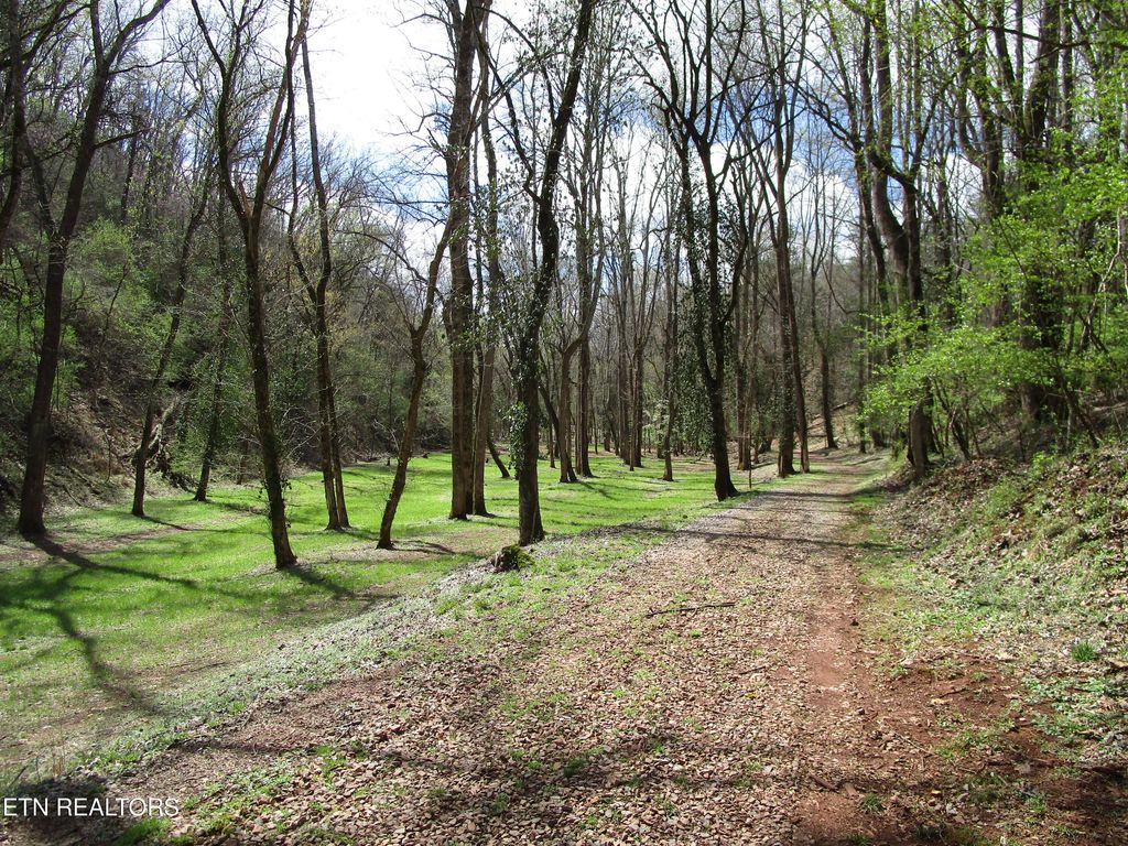 Photo of 4125 Bear Hollow Loop, Louisville, TN 37777 (MLS # 1332750)