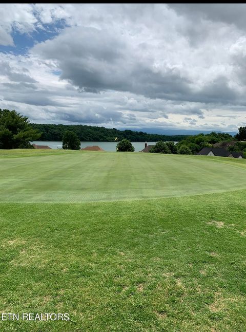 Photo of 120 Pineberry Drive, Vonore, TN 37885 (MLS # 1342675)
