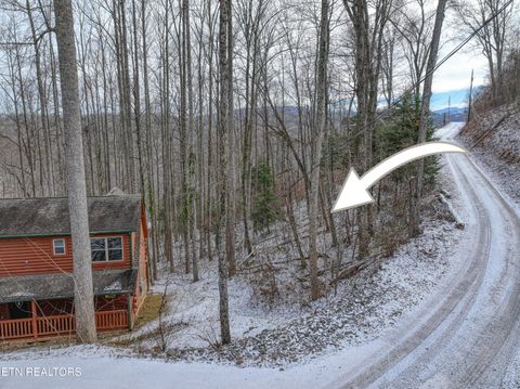 Tiny photo for 129 Laurel Way, Gatlinburg, TN 37738 (MLS # 1328204)