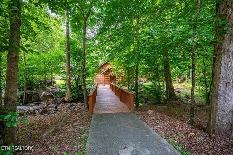 Tiny photo for 1610 Jobey Green Hollow Rd, Sevierville, TN 37876 (MLS # 1341041)