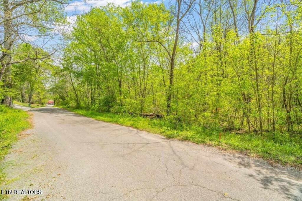 Photo of 0 Hen Valley Rd #lot 1 and 2, Oliver Springs, TN 37840 (MLS # 1339100)