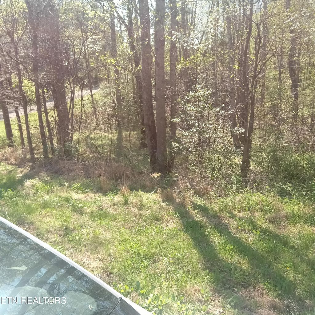 Photo of Mountain Rd, Tellico Plains, TN 37385 (MLS # 1336268)