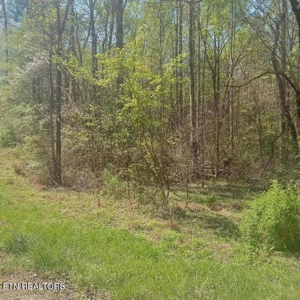 Photo of Mountain Rd, Tellico Plains, TN 37385 (MLS # 1336268)
