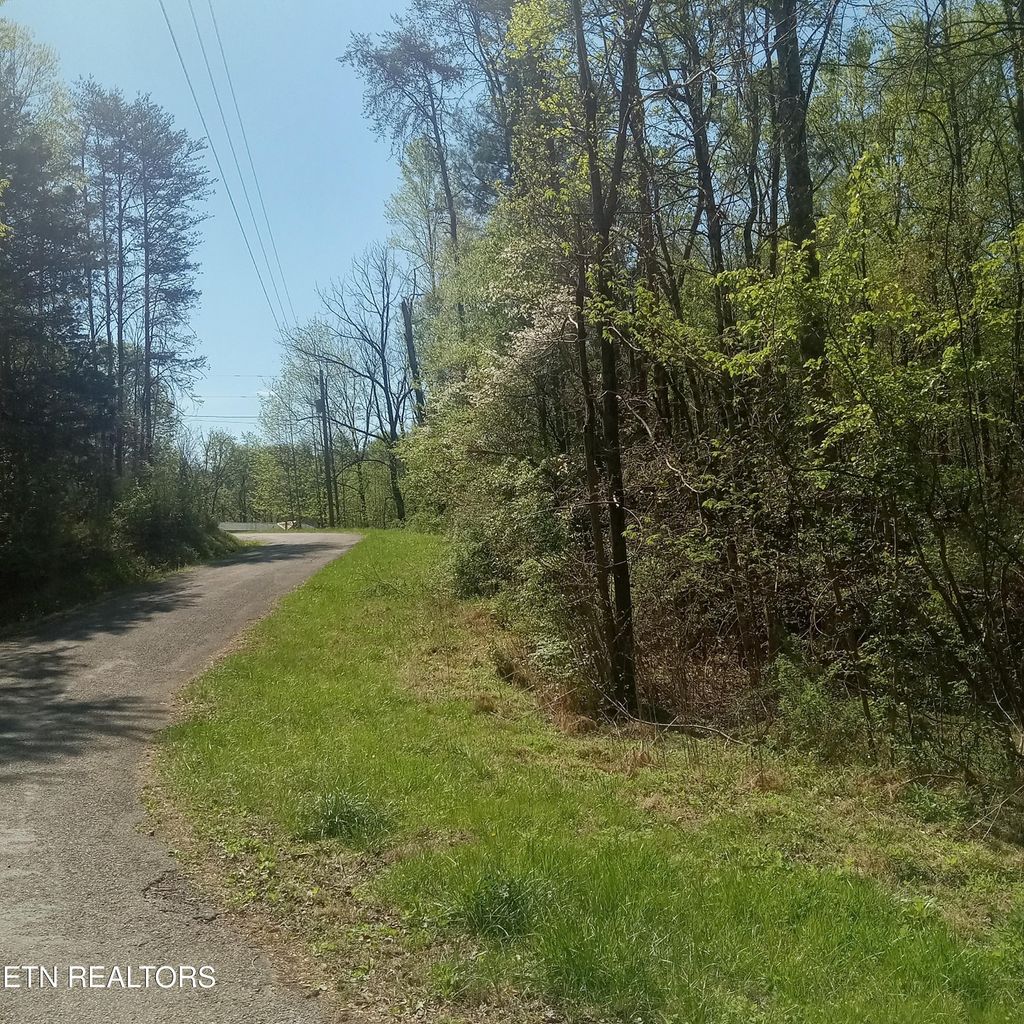 Photo of Mountain Rd, Tellico Plains, TN 37385 (MLS # 1336268)