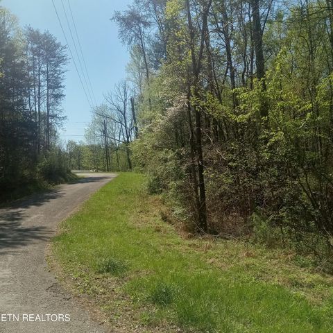 Photo of Mountain Rd, Tellico Plains, TN 37385 (MLS # 1336268)