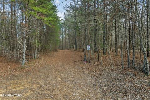 Tiny photo for 3 Lone Wolf Trail, Spencer, TN 38585 (MLS # 1327673)