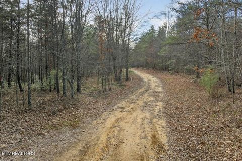 Tiny photo for 3 Lone Wolf Trail, Spencer, TN 38585 (MLS # 1327673)