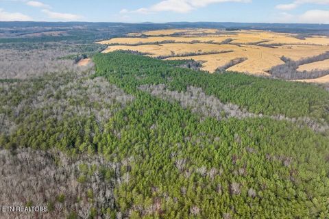 Tiny photo for 3 Lone Wolf Trail, Spencer, TN 38585 (MLS # 1327673)