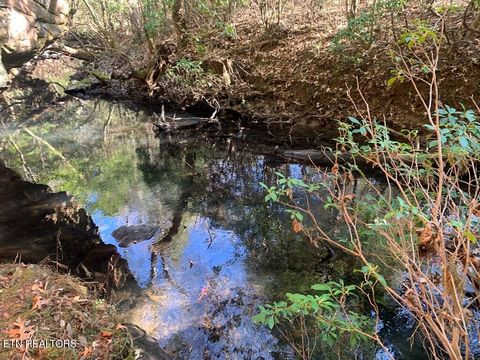 Tiny photo for 3 Lone Wolf Trail, Spencer, TN 38585 (MLS # 1327673)