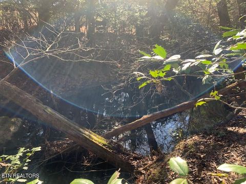 Tiny photo for 3 Lone Wolf Trail, Spencer, TN 38585 (MLS # 1327673)