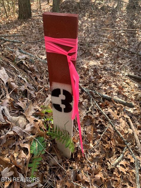 Tiny photo for 3 Lone Wolf Trail, Spencer, TN 38585 (MLS # 1327673)