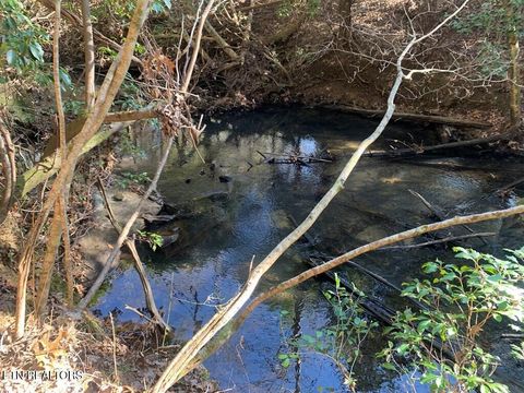 Tiny photo for 3 Lone Wolf Trail, Spencer, TN 38585 (MLS # 1327673)