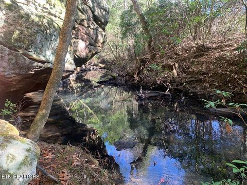 Tiny photo for 3 Lone Wolf Trail, Spencer, TN 38585 (MLS # 1327673)