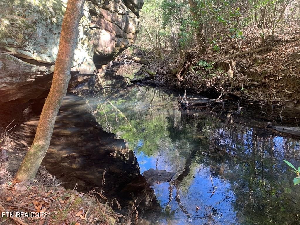 Photo of 3 Lone Wolf Trail, Spencer, TN 38585 (MLS # 1327673)