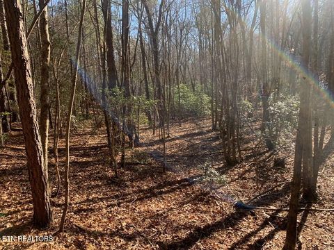 Tiny photo for 3 Lone Wolf Trail, Spencer, TN 38585 (MLS # 1327673)