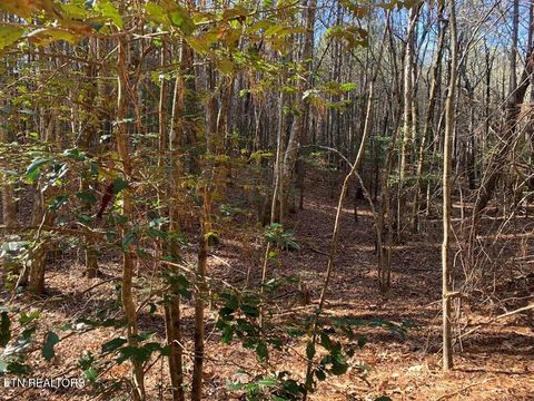 Tiny photo for 3 Lone Wolf Trail, Spencer, TN 38585 (MLS # 1327673)