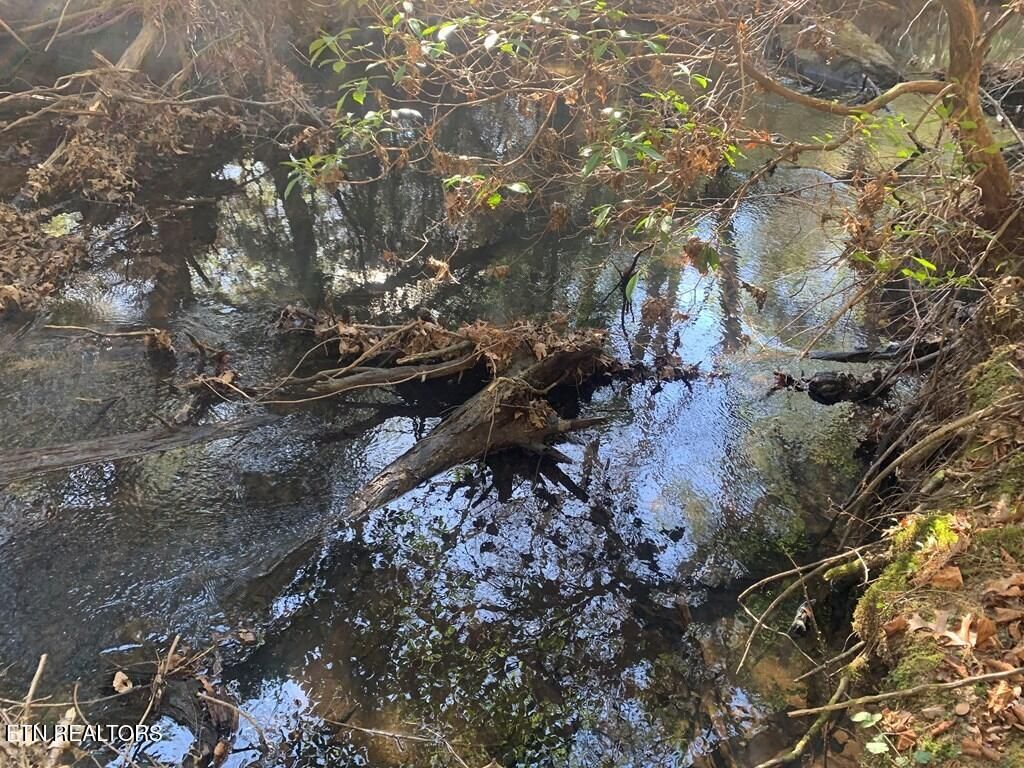 Photo of 3 Lone Wolf Trail, Spencer, TN 38585 (MLS # 1327673)