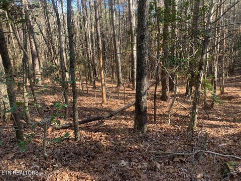 Tiny photo for 3 Lone Wolf Trail, Spencer, TN 38585 (MLS # 1327673)